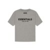 ESSENTIALS SS22 TEE-DARK OATMEAL