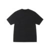 STUSSY ARCHED PIGMENT DYED TEE-BLACK