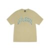 STUSSY ARCHED PIGMENT DYED TEE-ELM