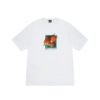 STUSSY BERRIES TEE-WHITE