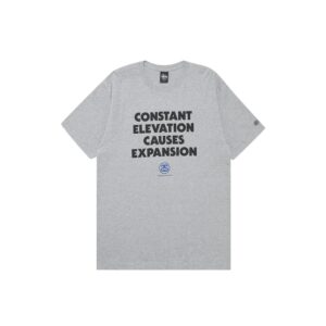 STUSSY CONSTANT ELEVATION TEE-GREY