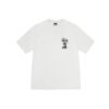 STUSSY DOUBLE DRAGON PIGMENT DYED TEE-NATURAL